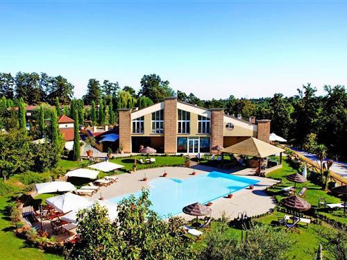 Ferielejlighed - 3 personer -  - 50054 - Pinete Fucecchio