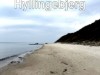 Bild 31