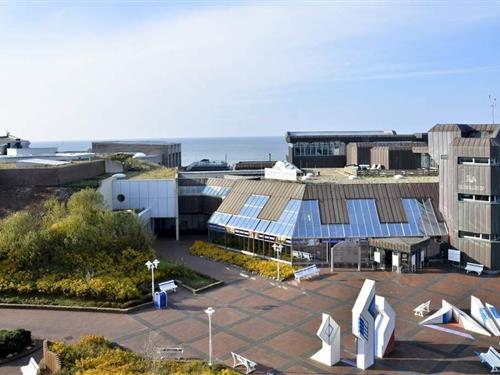 Ferielejlighed - 2 personer -  - Steinmannstraße - 25980 - Westerland