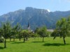Bilde 7