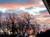 Bilde 6