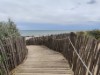 Billede 19
