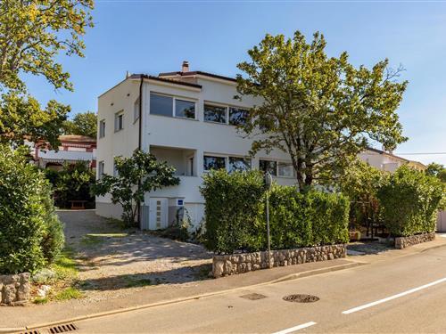 Holiday apartment - 6 persons -  - Kralja Tomislava - Krk-Njivice - 51512 - Njivice