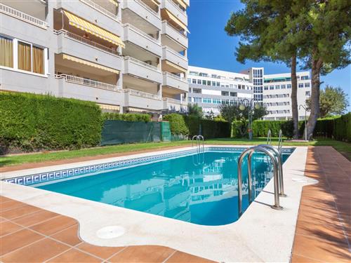 Ferieleilighet - 6 personer -  - Miami Platja - 43892
