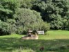 Bild 19