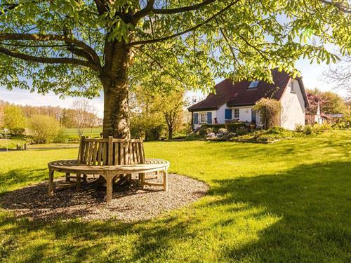 Ferienhaus - 6 Personen -  - Hegeholz - 24392 - Boren