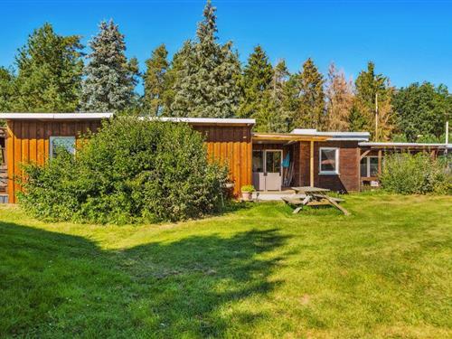 Holiday home - 4 persons -  - Bungalowdorf Zadelsdorf - Zadelsdorf - 07937 - Zeulenroda-Triebes