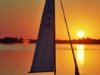 Billede 22