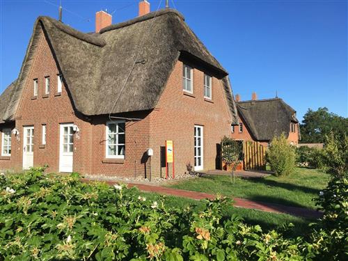 Semesterhus/Semesterlägenhet - 3 personer -  - Friesenstr. - 25826 - St. Peter-Ording