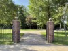 Billede 39