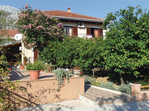 Holiday Home/Apartment - 5 persons -  - Kralja Tomislava - Peljesac-Orebic - 20250 - Orebic