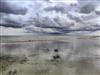 Bild 15 - Blick über's Wasser