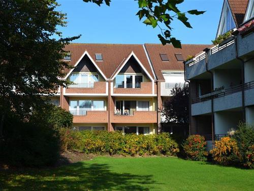 Holiday apartment - 4 persons -  - Waldstraße - 23746 - Kellenhusen