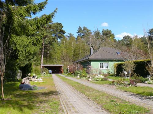 Feriehus / leilighet - 3 personer -  - Alte Post - 18609 - Binz (Ostseebad) Ot Prora