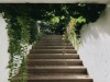 Image 38 - Outside