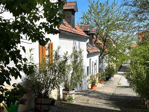 Ferienhaus - 3 Personen -  - Mörbisch Am See - 7072