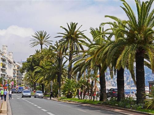Holiday apartment - 4 persons -  - 06000 - Nice