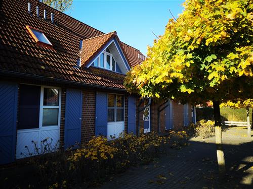 Semesterlägenhet - 6 personer -  - Hafenstraße - 18375 - Prerow