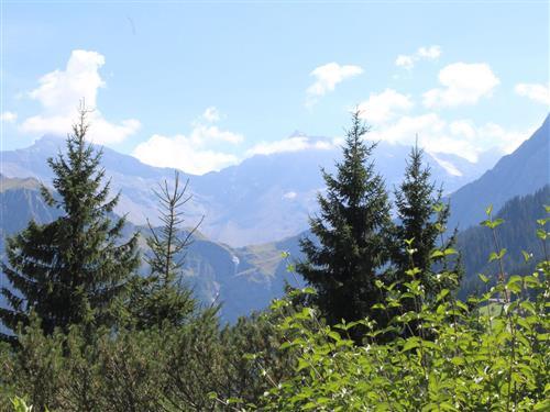 Ferieleilighet - 5 personer -  - Risetensträssli - 3715 - Adelboden