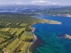 Billede 22