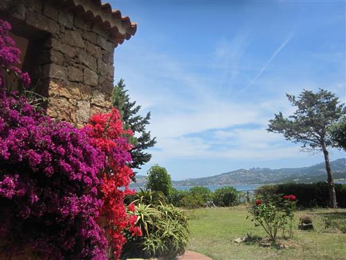 Holiday apartment - 2 persons -  - Cannigione - 07021