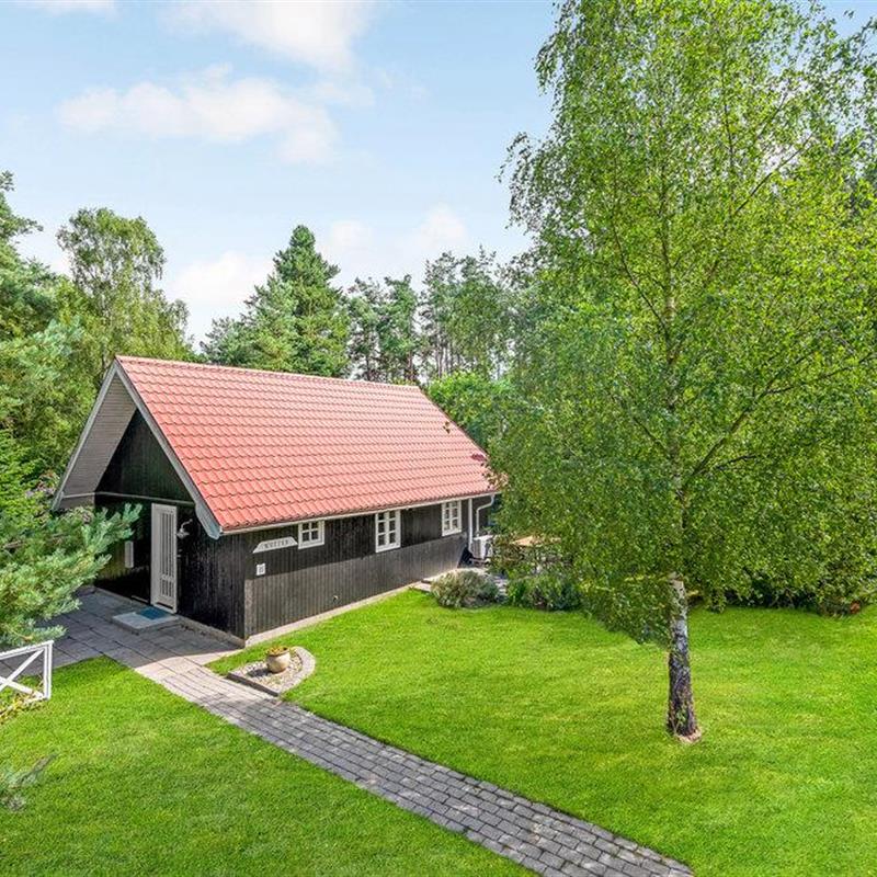 Ferienhaus - 6 Personen -  - Gyvelvej - Fuglslev - 8400 - Ebeltoft
