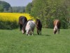 Bild 21