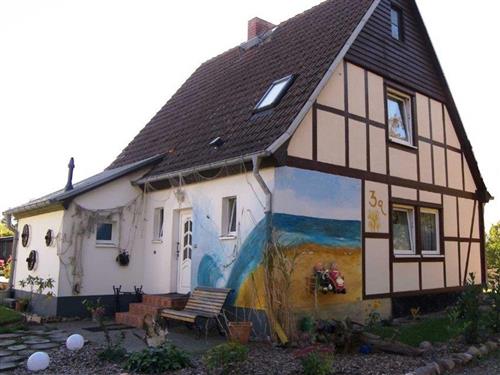 Holiday apartment - 13 persons -  - Waldstraße - 17459 - Zempin