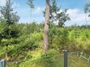 Billede 39 - Ude