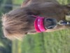 Bilde 4
