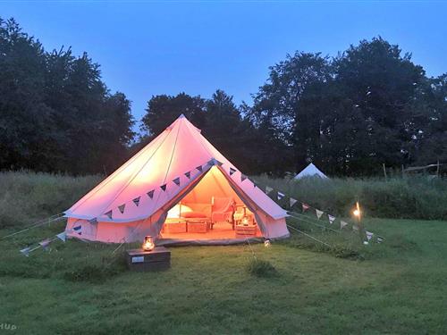 Chalet - 4 persons -  - NR9 5NS - Swannington