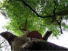 Bild 17