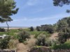 Image 39
