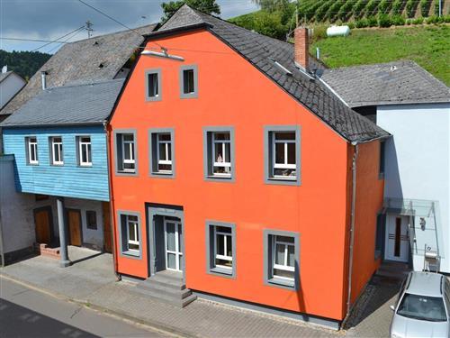 Semesterlägenhet - 2 personer -  - Hauptstrasse - 54340 - Klüsserath