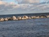 Billede 7