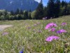 Bild 17