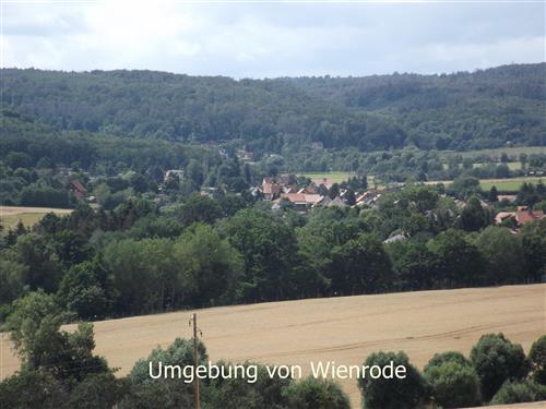 Holiday Home/Apartment - 2 persons -  - Schachtweg - 38889 - Wienrode