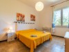 Bild 3 - Inde