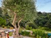 Bild 7