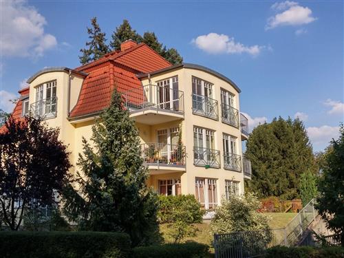 Ferieleilighet - 3 personer -  - Bad Saarow - 15526