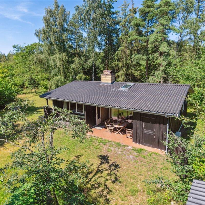 Ferienhaus - 6 Personen -  - Loftsgårdsskoven - Sömarken - 3720 - Aakirkeby