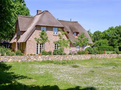 Feriehus - 6 personer -  - Babendörpstieg - 25938 - Nieblum