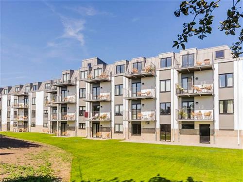  - 4 Personen -  - Hanöhusvägen - Hällevik - 29472 - Sölvesborg