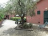 Image 18 - Outside