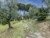 Image 61 - Outside