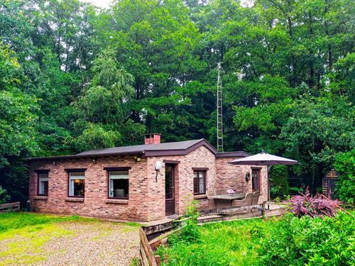 Fritidshus - 4 personer -  - Zavelstraat - 3670 - Meeuwen-Gruitrode