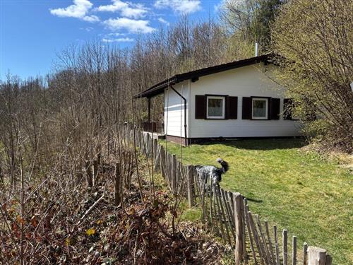 Sommerhus - 6 personer -  - Wäschegrund - 37444 - Sankt Andreasberg