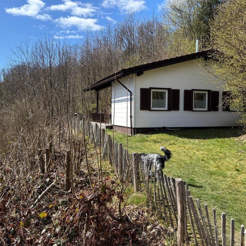 Sommerhus - 6 personer -  - Wäschegrund - 37444 - Sankt Andreasberg