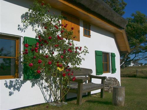 Ferieleilighet - 2 personer -  - Krämerstraat - 18565 - Hiddensee