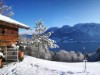 Bild 54